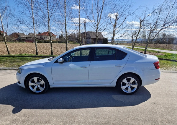 Skoda Octavia cena 49900 przebieg: 163000, rok produkcji 2018 z Siedlce małe 79